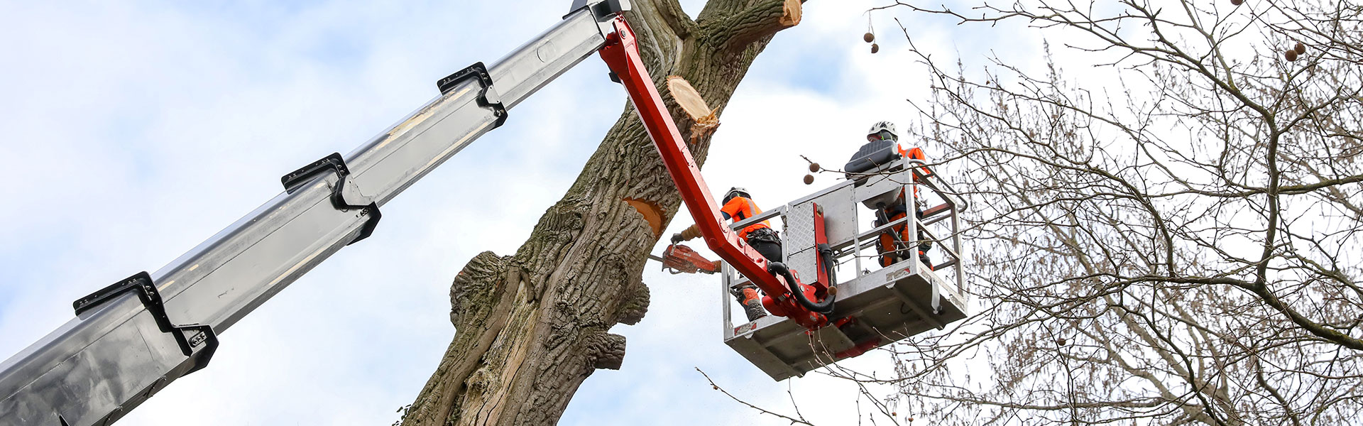 cyklinowanie parkietu, desek podłogowych, mozaiki parkietowej Zamość